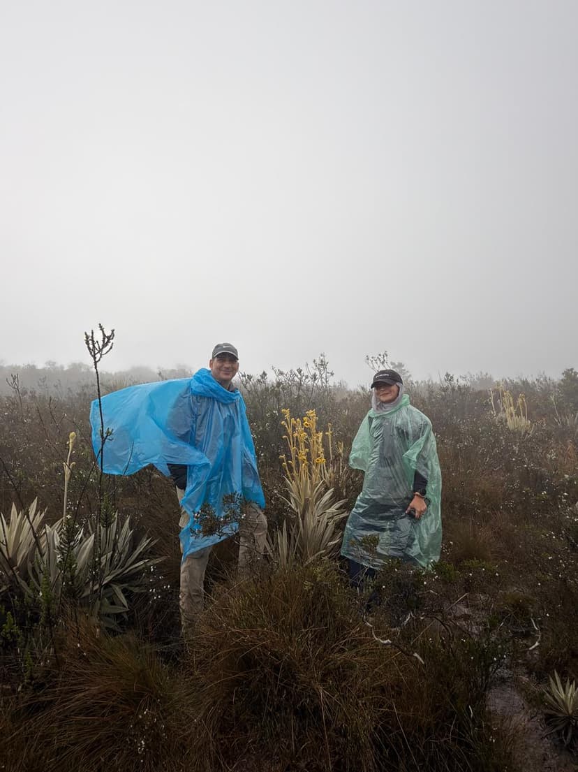 Paramo de Cruz Verde