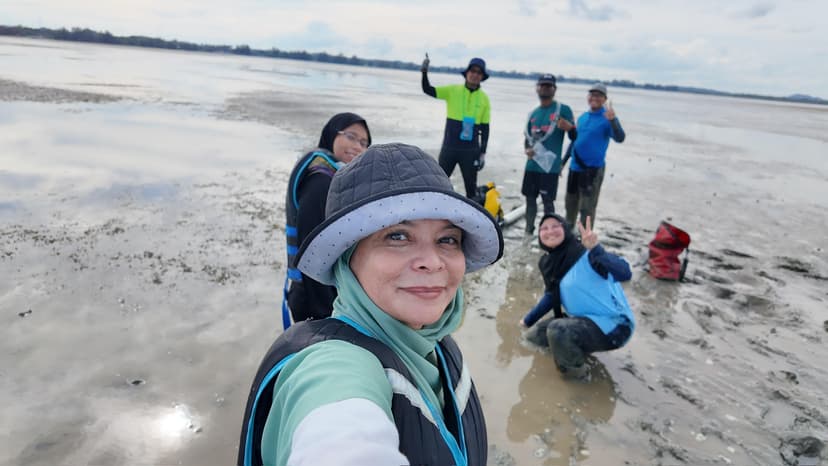 Seagrass Meadows at Pulau Setindan, Johor